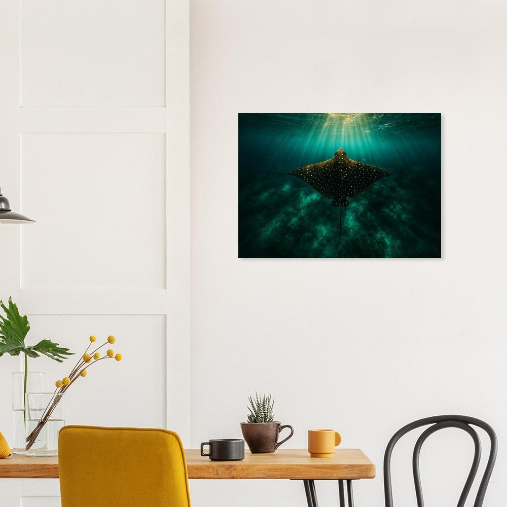 533a4ebe-650b-4c37-a29d-1c7fc4c05277