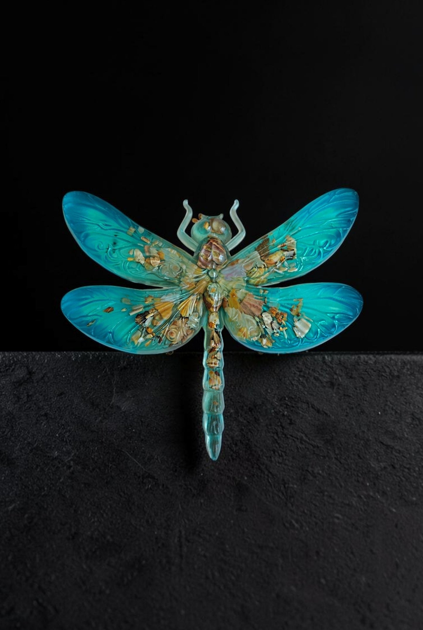 Libellule océan