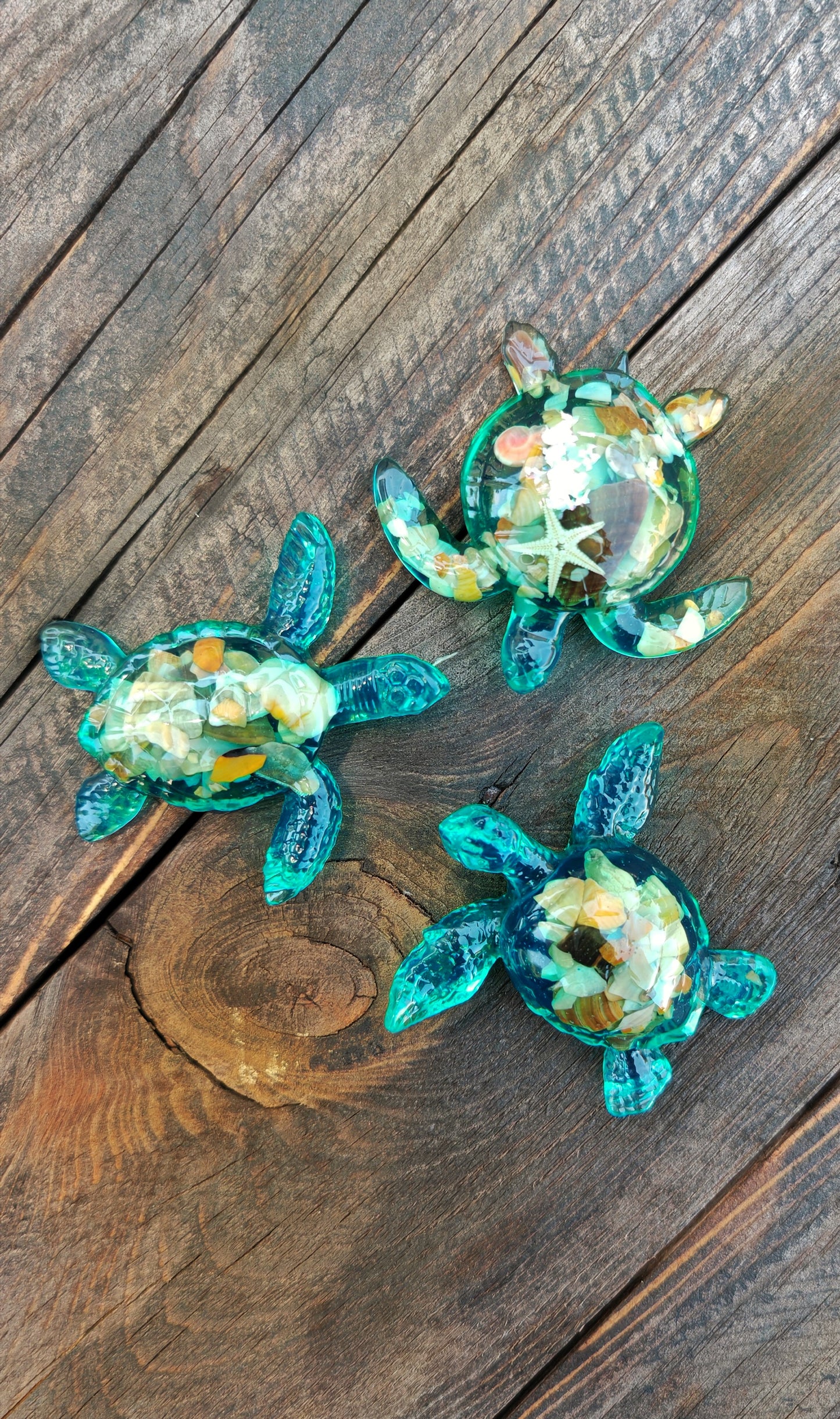 Lot de 3 Tortues Océan