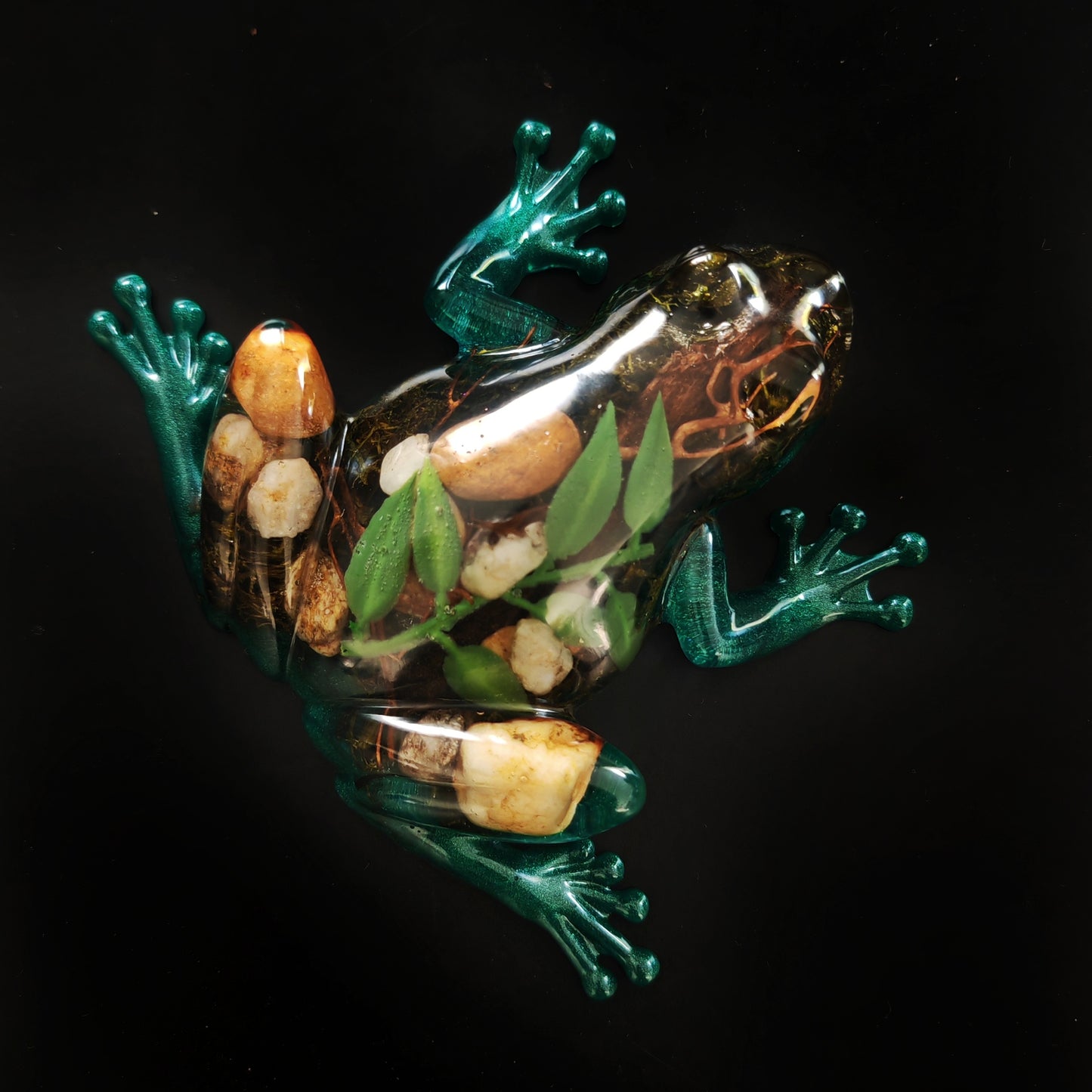 Grenouille océan
