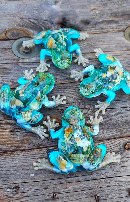 Grenouille snow globe