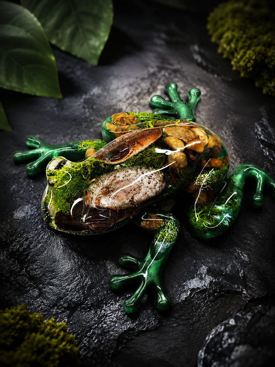 Grenouille forêt XXL