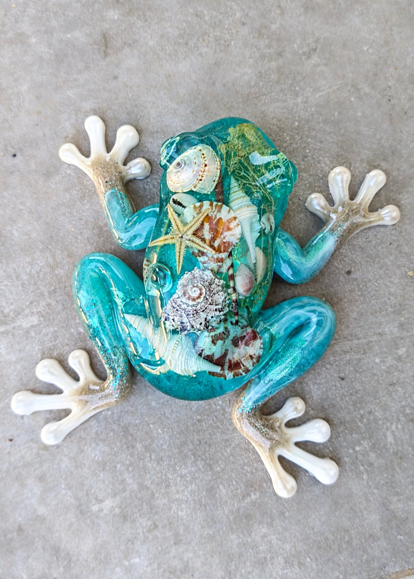 Grenouille XXL