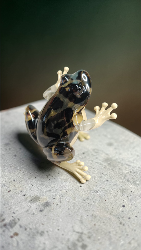 Grenouille léopard