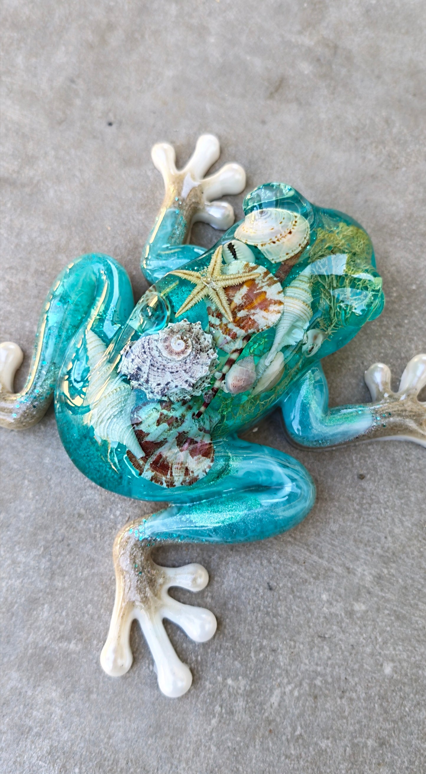 Grenouille XXL