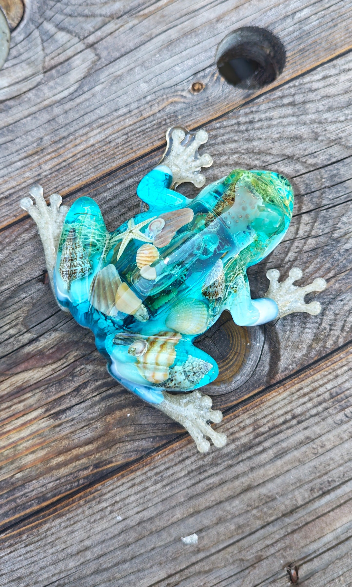 Grenouille snow globe