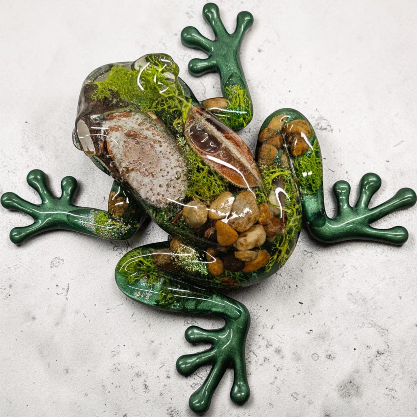 Grenouille forêt XXL