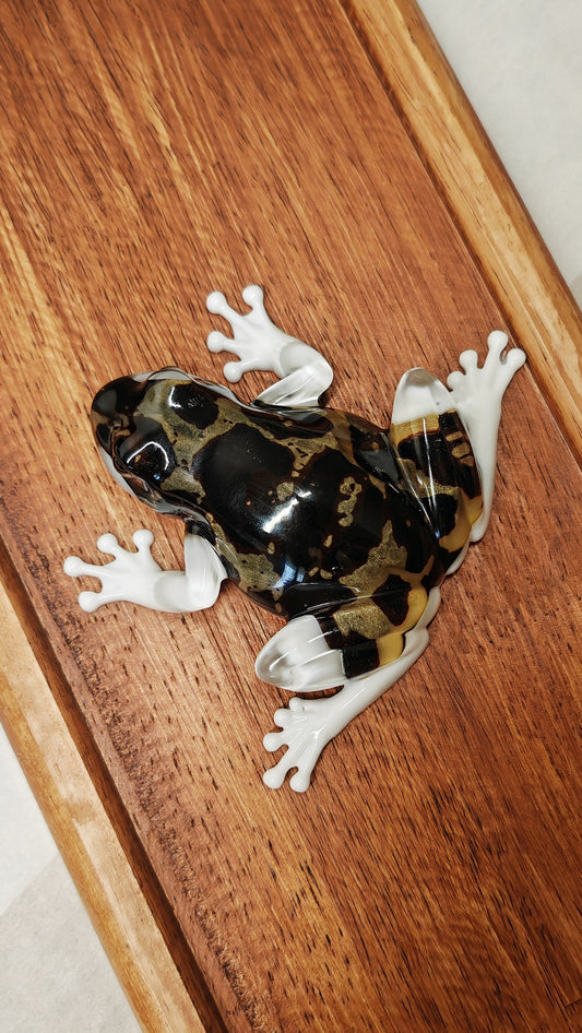 Grenouille léopard