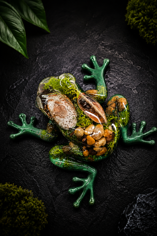 Grenouille forêt XXL