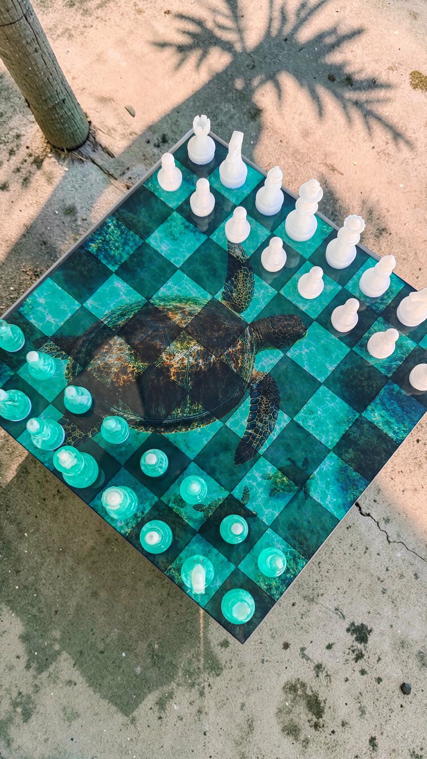 Échiquier tortue